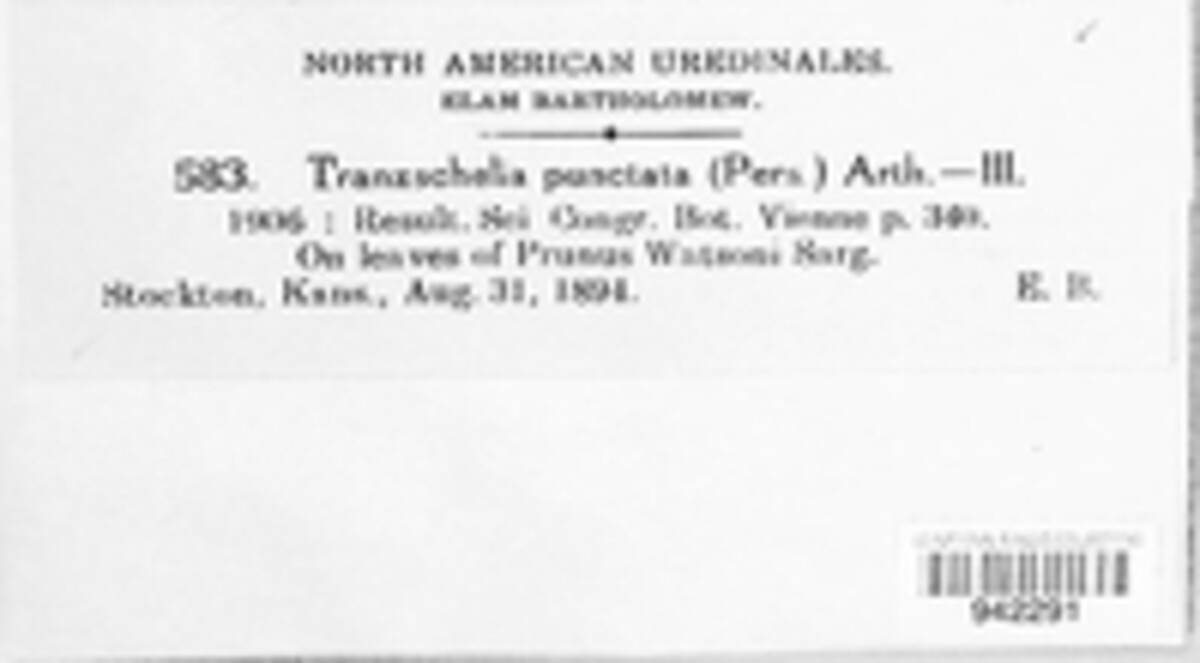 Tranzschelia discolor image